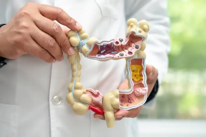 Digestive Health
